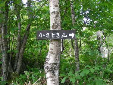 小桟敷山入口