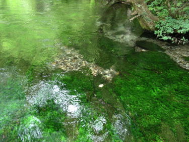 清水川