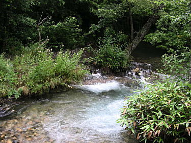岳沢湿原2