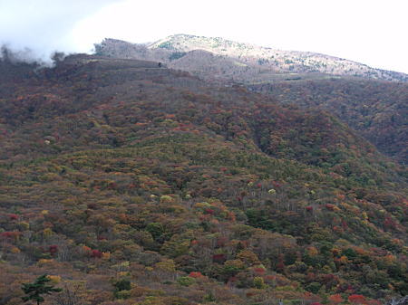紅葉山1