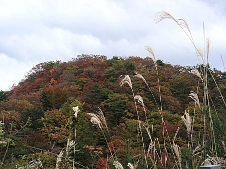 紅葉の山2