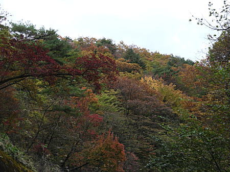 紅葉の山3