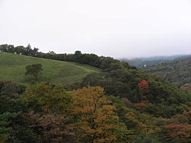 紅葉の山4