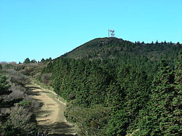 金冠山への道