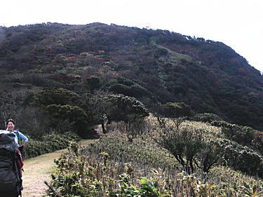 小達磨山への道
