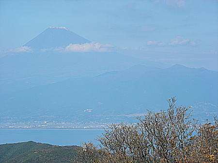 達磨山下りからの富士山