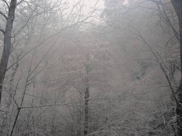 もう吹雪です