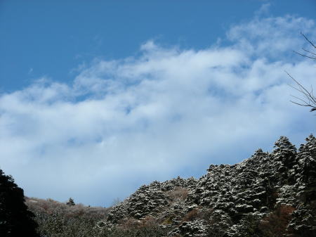 青空