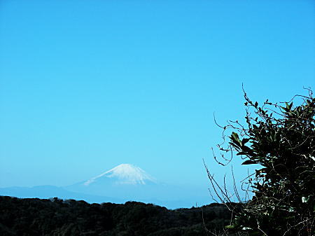 三浦富士からの富士山