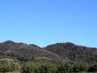 三浦富士