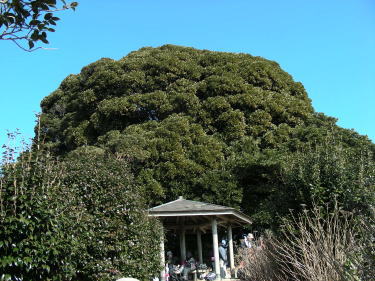 御殿山頂上