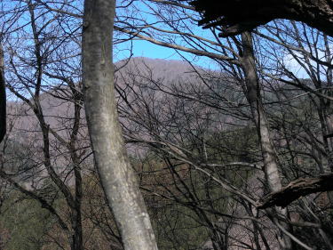 三頭山