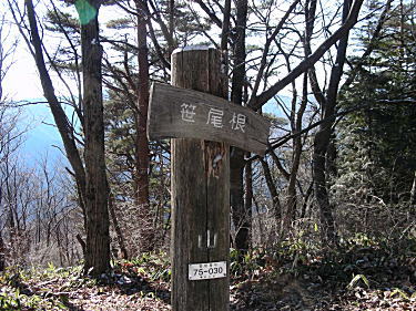丸山