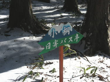 小棡標識