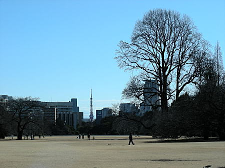 東京タワーを望む