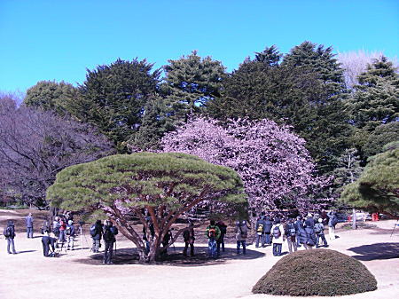 カメラをかまえる人達