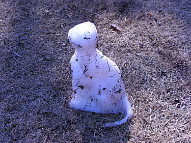 雪で作った猫