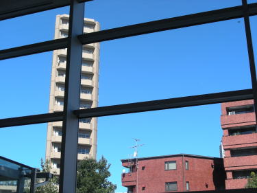 展示室から外1