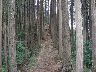 道
