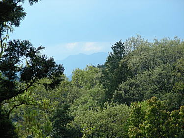 川乗山