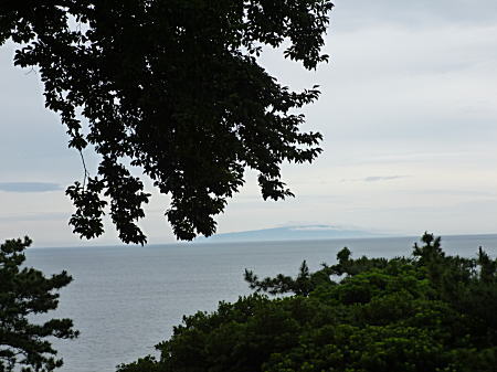 遠くに大島