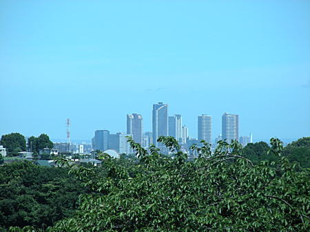 展望台から江東区方面
