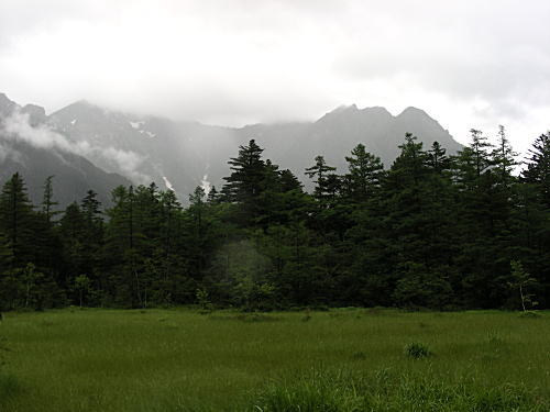 田代湿原
