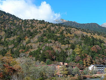 紅葉まだらの山
