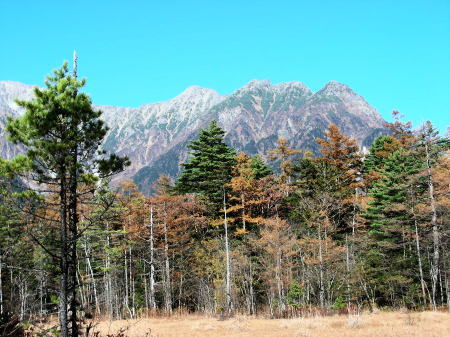 田代湿原からの穂高連峰