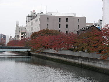 仙台堀川桜紅葉1