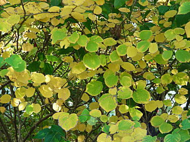 �g�T�~�Y�L