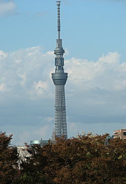 �X�J�C�c���[