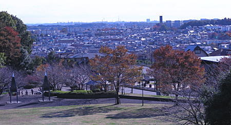 真光寺公園全体