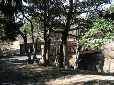 橋