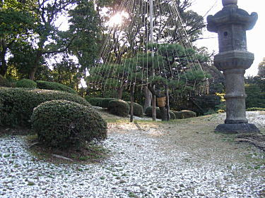 燈籠と雪