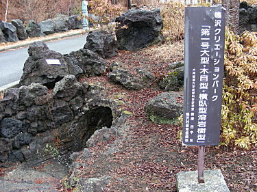 溶岩樹型