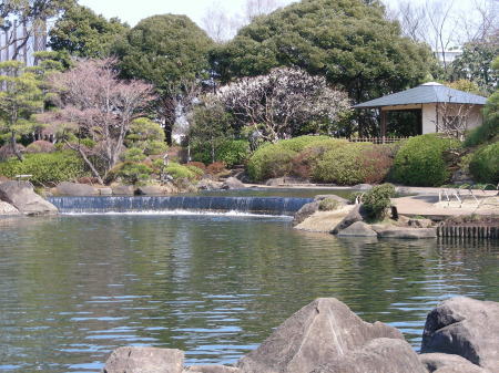 池とつつじ亭