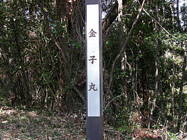 金子丸