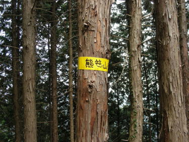 熊笹山