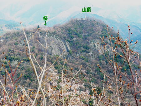 岩殿山大