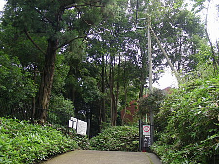 北口