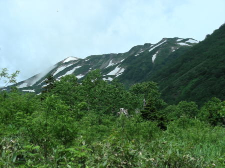 nAQ