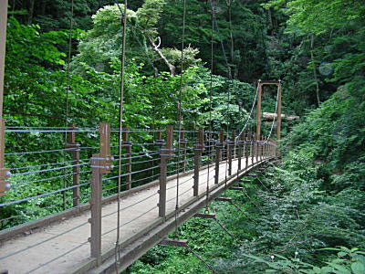 吊り橋1