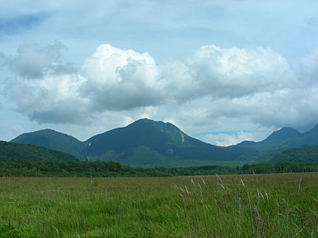 ��ꃖ������̑��Y�R