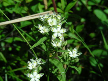 �A�P�{�m�\�E�P