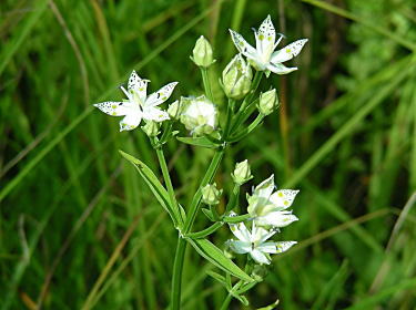 �A�P�{�m�\�E�Q