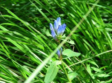 �G�]�����h�E�P