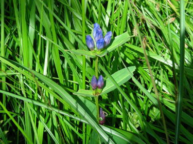 �G�]�����h�E�Q