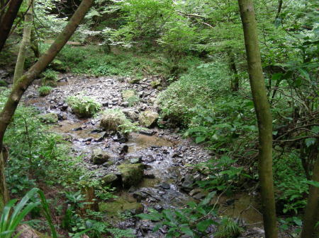 日影沢