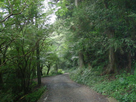 道